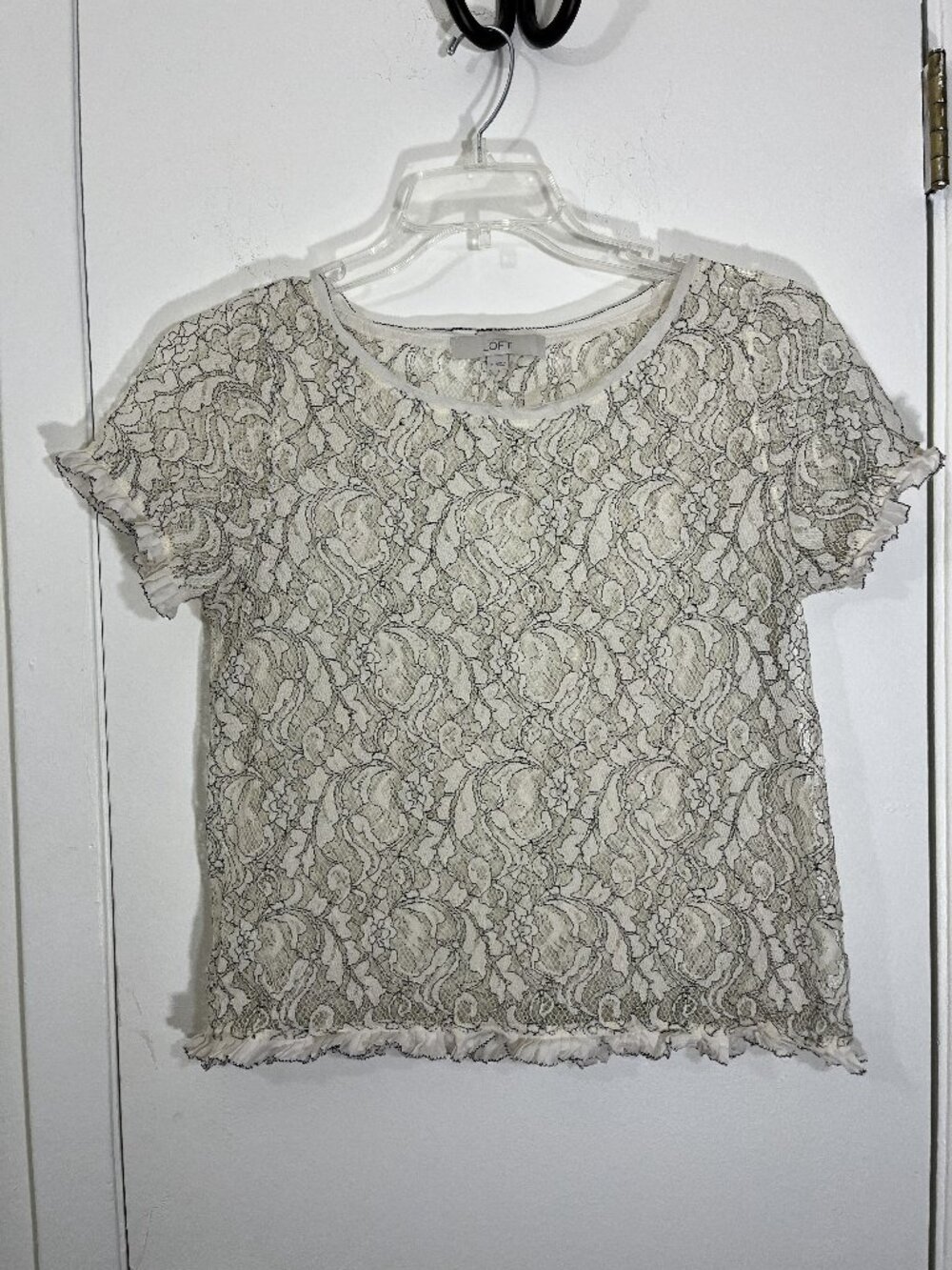 LOFT Women's Lace Fairy  Short Sleeve Blouse Top